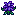 Crocus icon