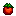 Tomato icon