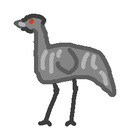 emu